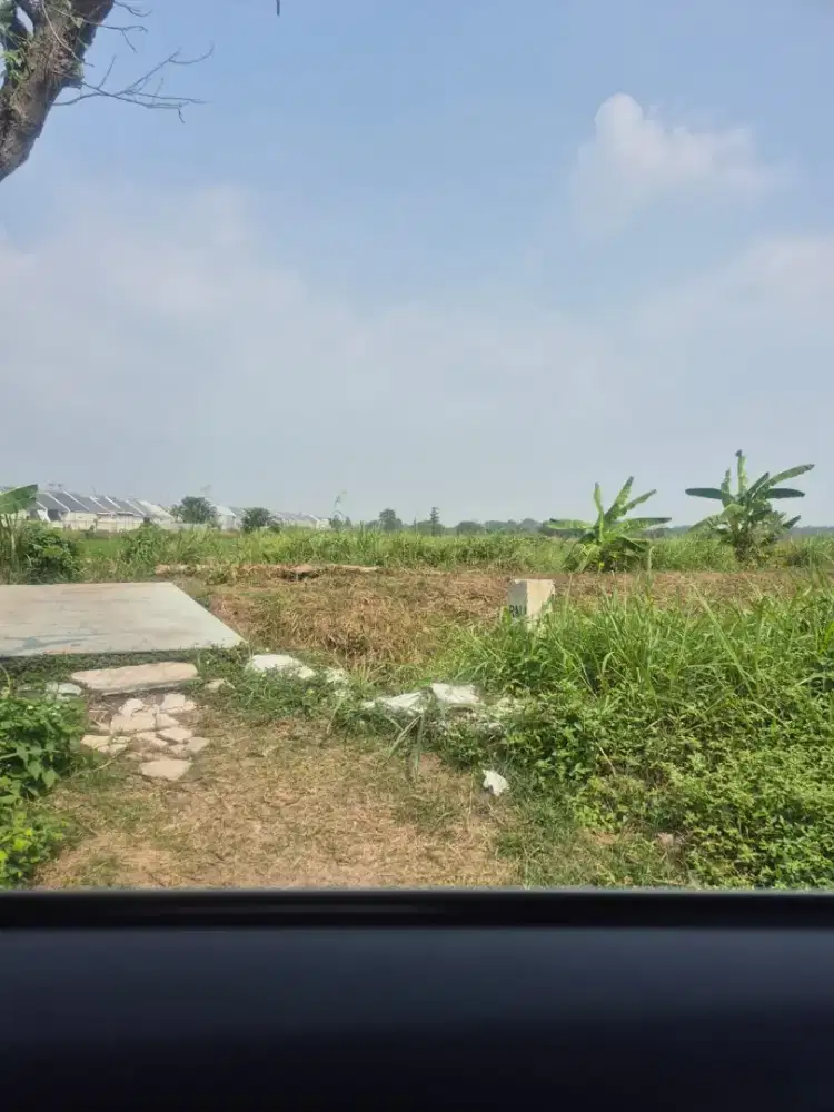 Raya Leker Rejo, Dadap Kuning, Morowudi, Gresik Kota Mas