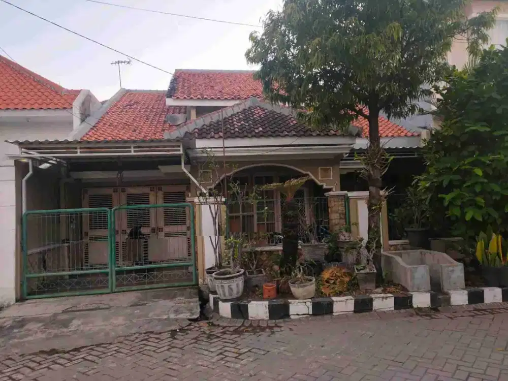 Rumah Penjaringan Timur Surabaya Murah. RON.A1879