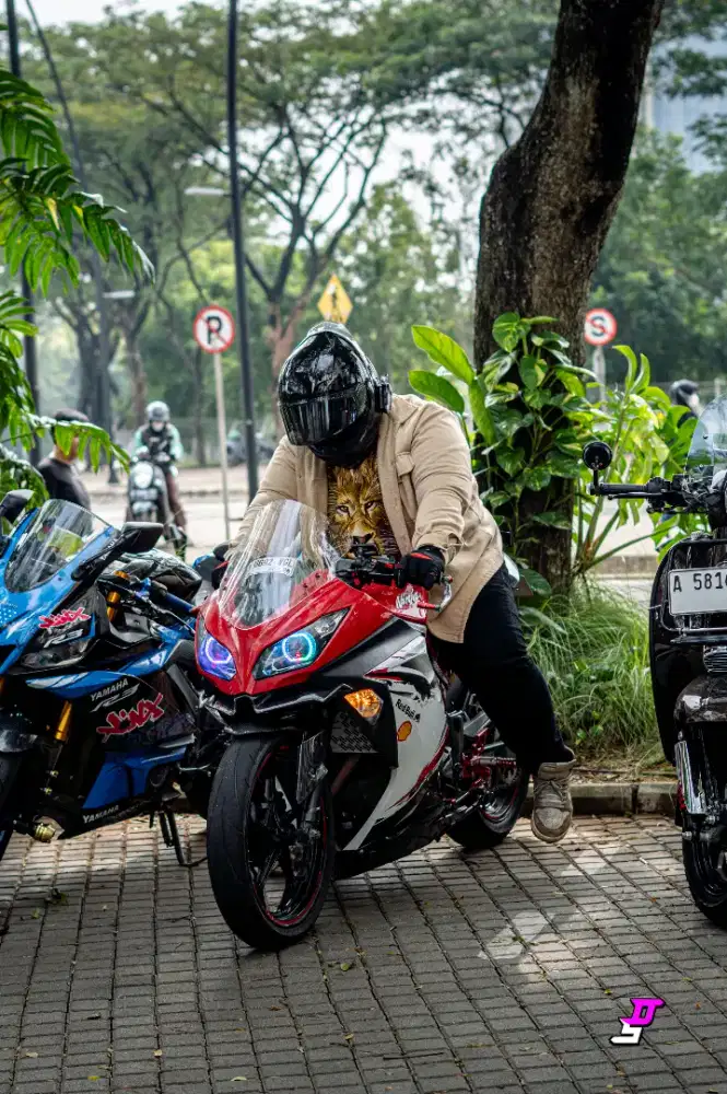Ninja 250 ABS SE 2013