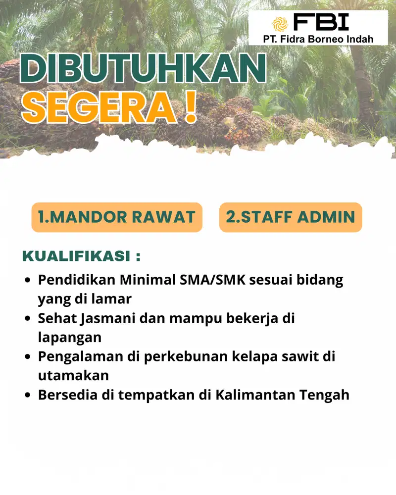 Mandor Rawat dan Staff Admin Sawit di Kalimantan Tengah