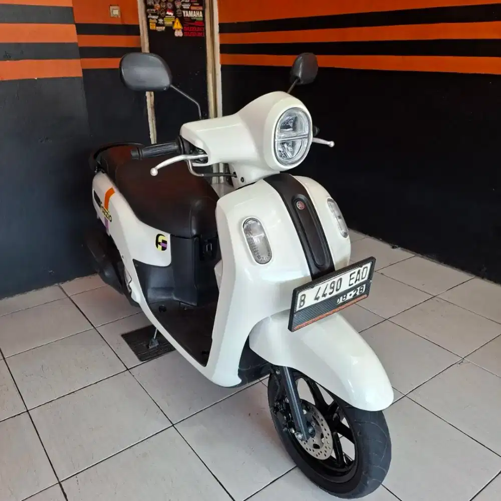 Fazzio taun 2023