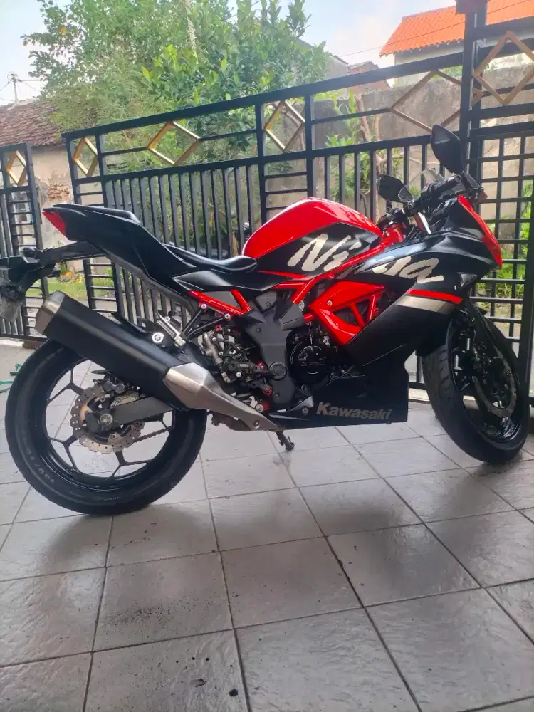 Kawasaki ninja 250R mono 2019