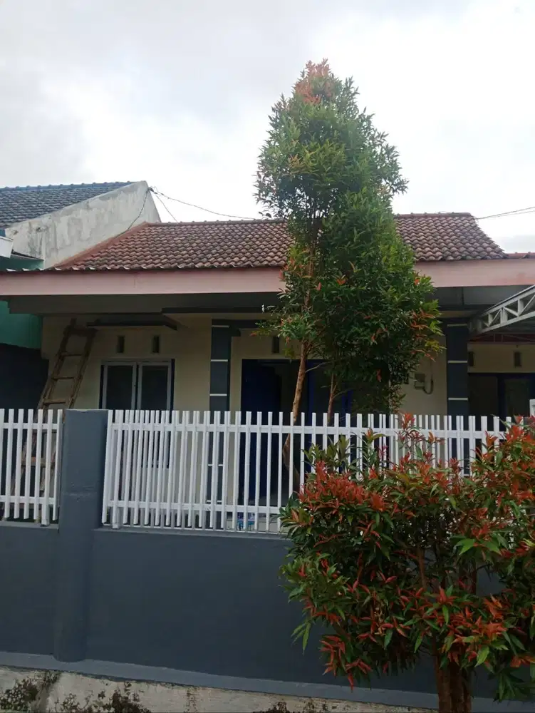Disewakan rumah dekat pusat kota jember