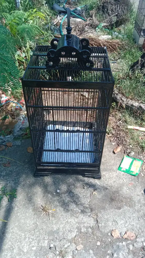 Sangkar kontak uk 40 x 40