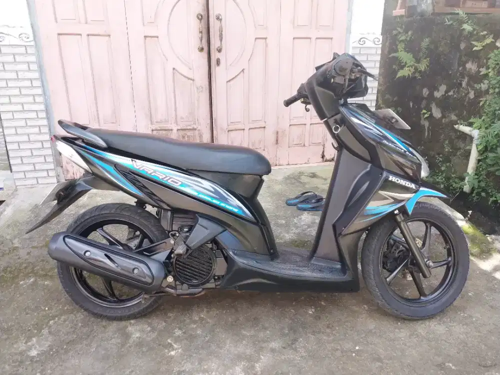 Vario karbu 2011