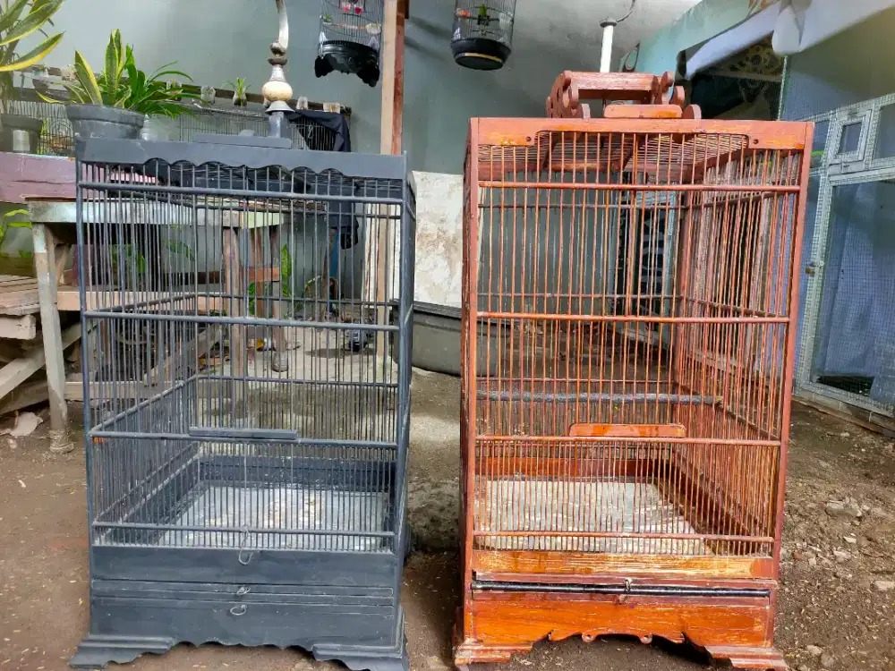 Sangkar Bekas Burung Kacer dan Jalak ukuran 40 & 43