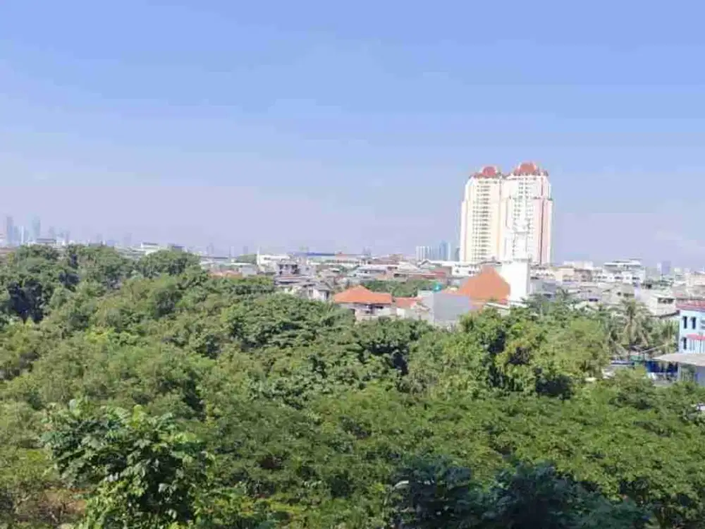 di jual apartemen pluit sea view lantai rendah