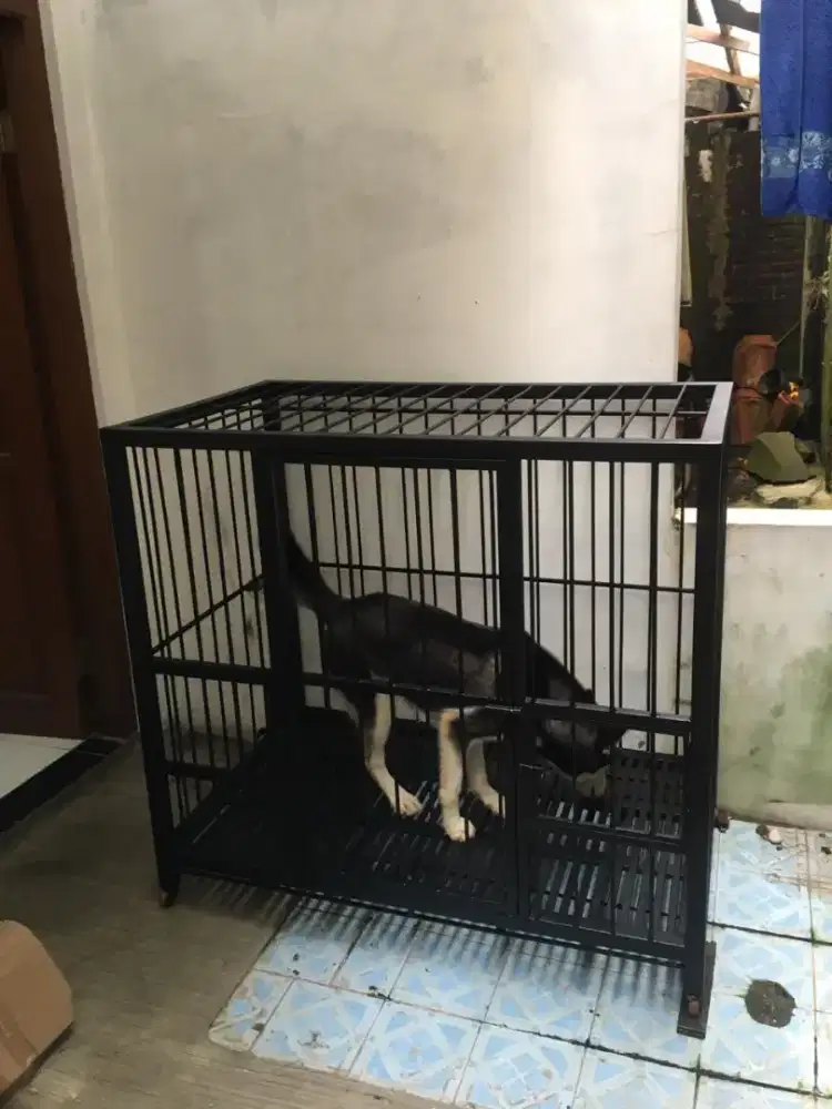 Kandang anjing / hewan peliharaan