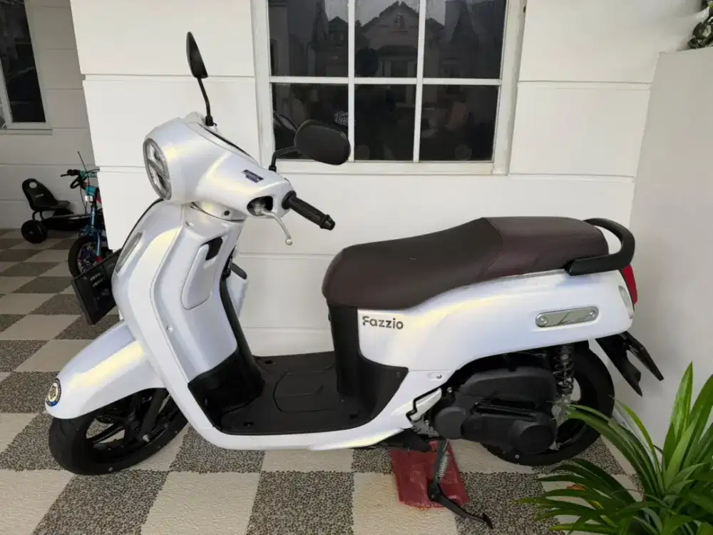 Fazzio Lux 2023
