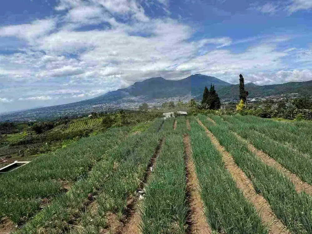Tanah pertanian Kota Batu