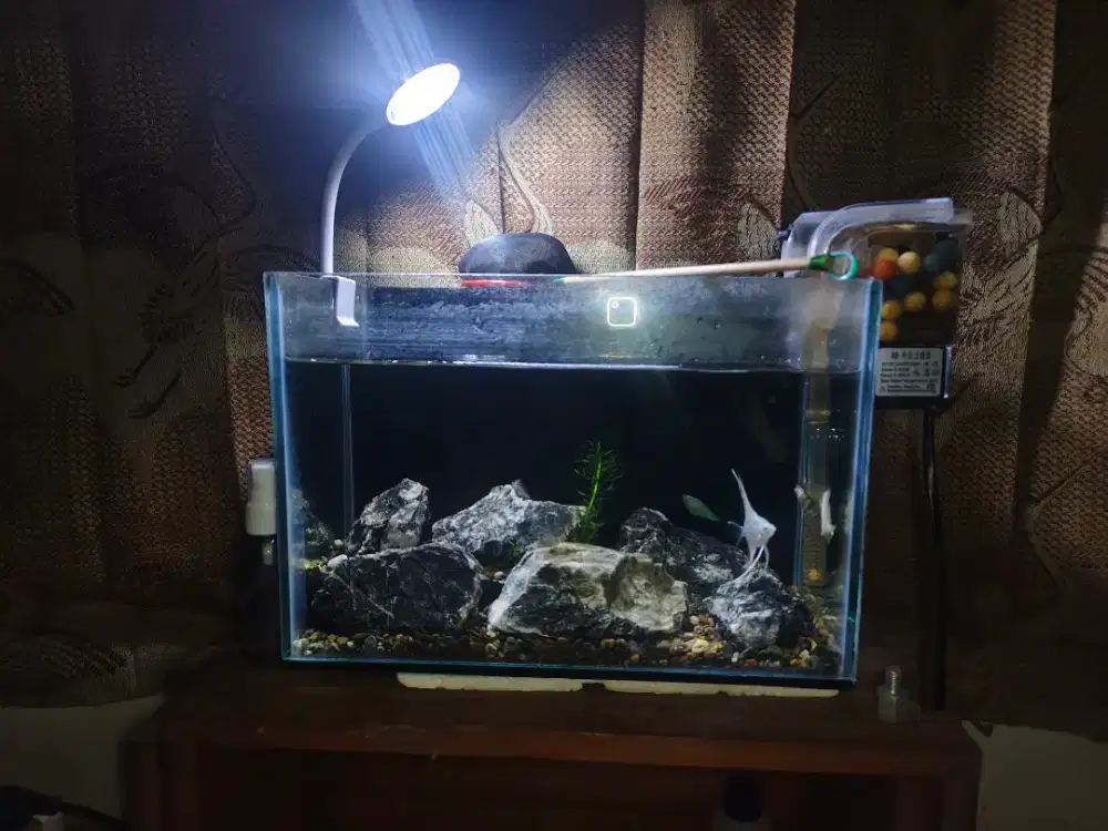 Aquarium Fullset 30×20×15