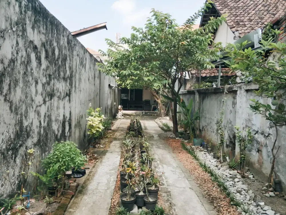 RUMAH DIJUAL MURAH  RUMAH PETEMON PUSAT KOTA SURABAYA