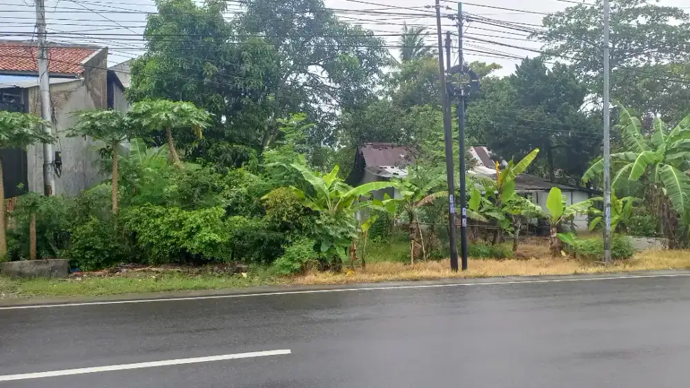Disewa Tanah Kebun