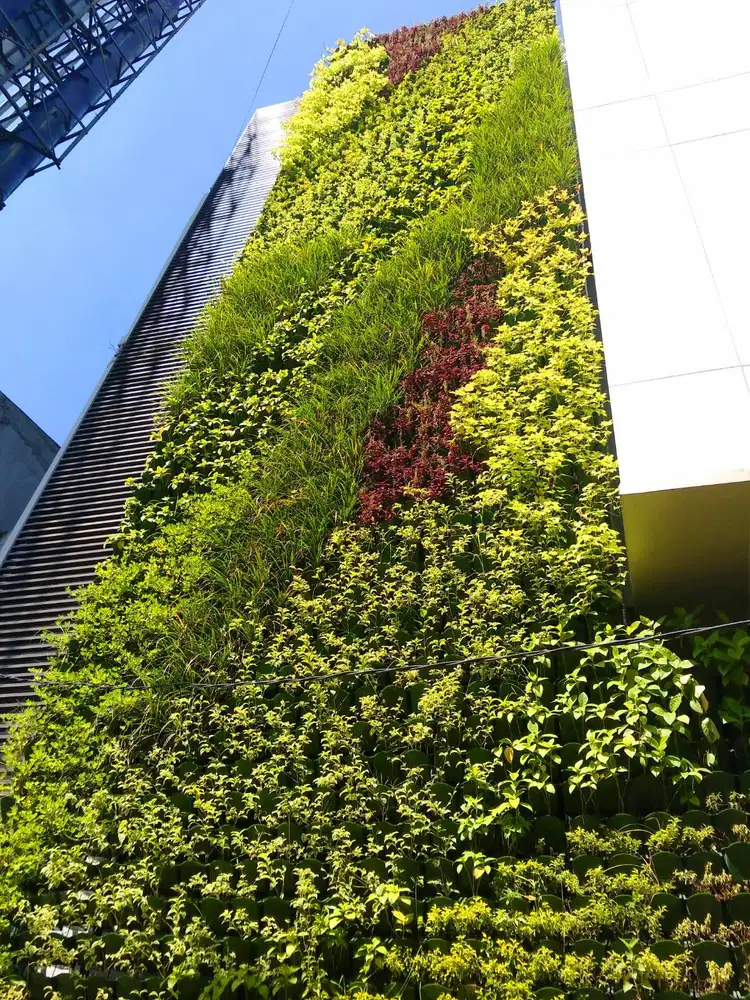 Vertical Garden Surabaya