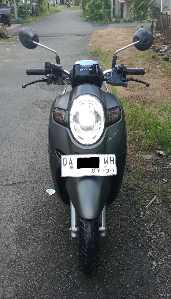Scoopy staylis 2020