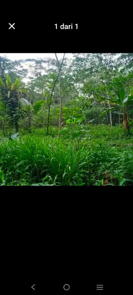 Cari tanah di pedesaan? Ini aja