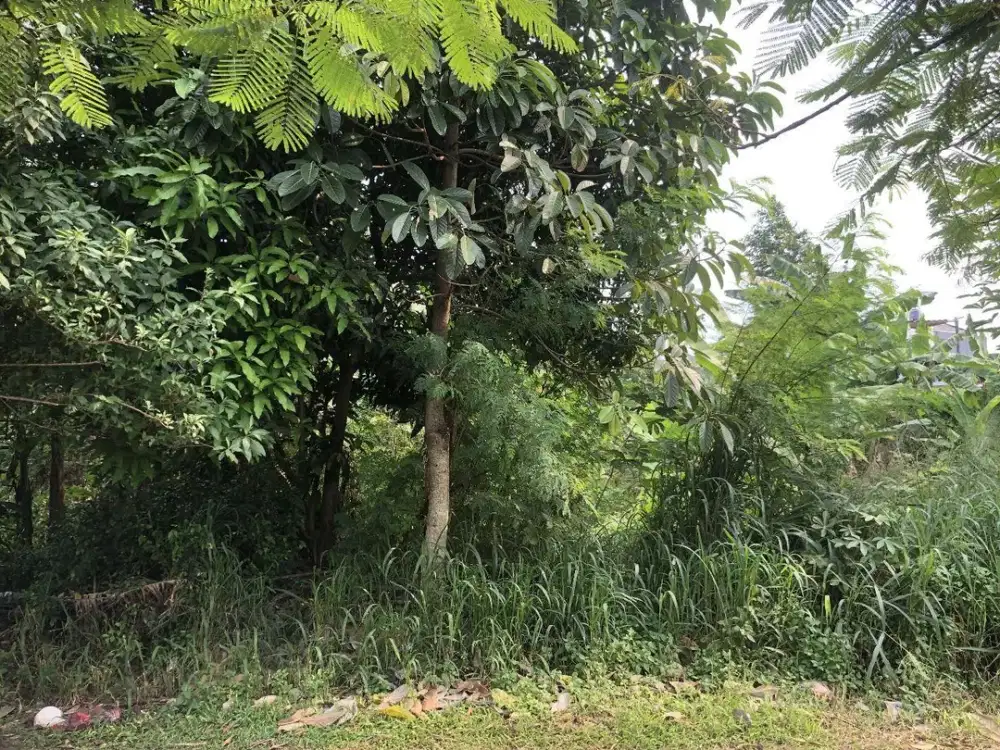 Dijual Kavling Siap Bangun Lokasi Startegis di Bukit Nusa Indah