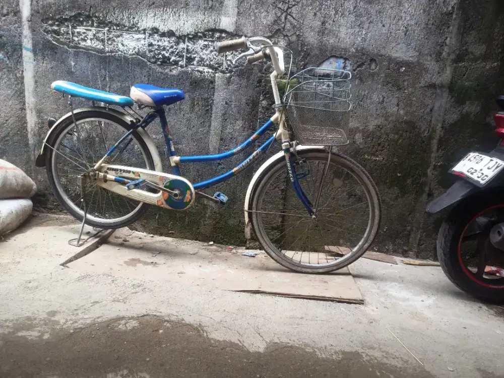 SEPEDA UNITED NORMAL TINGGAL GOES