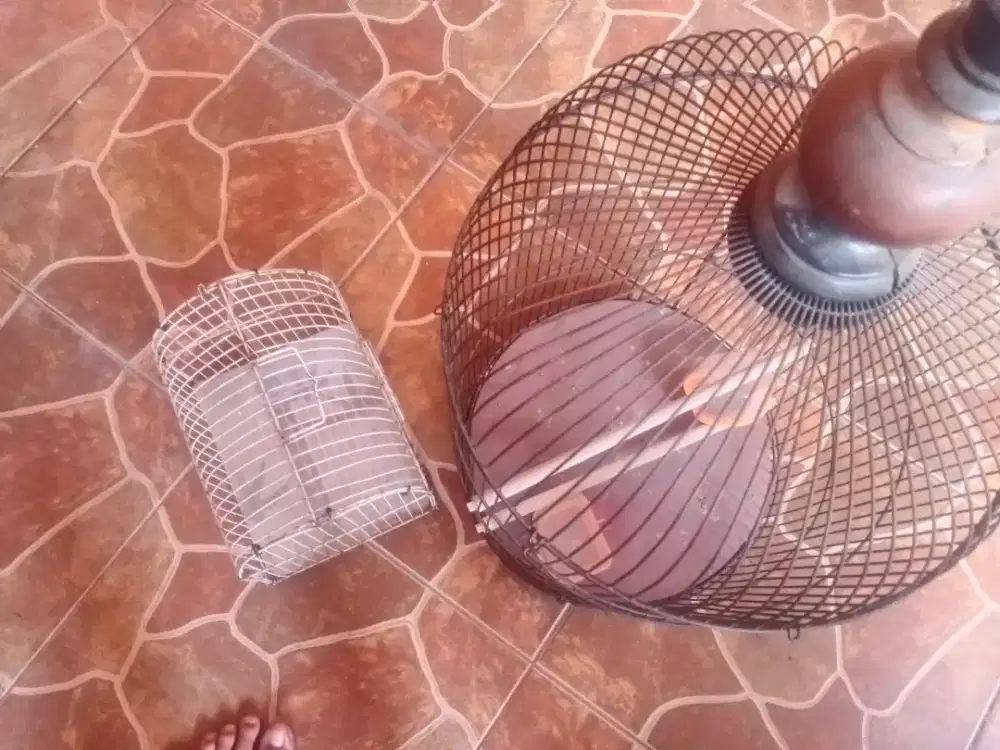 kandang burung bekas layak pakai