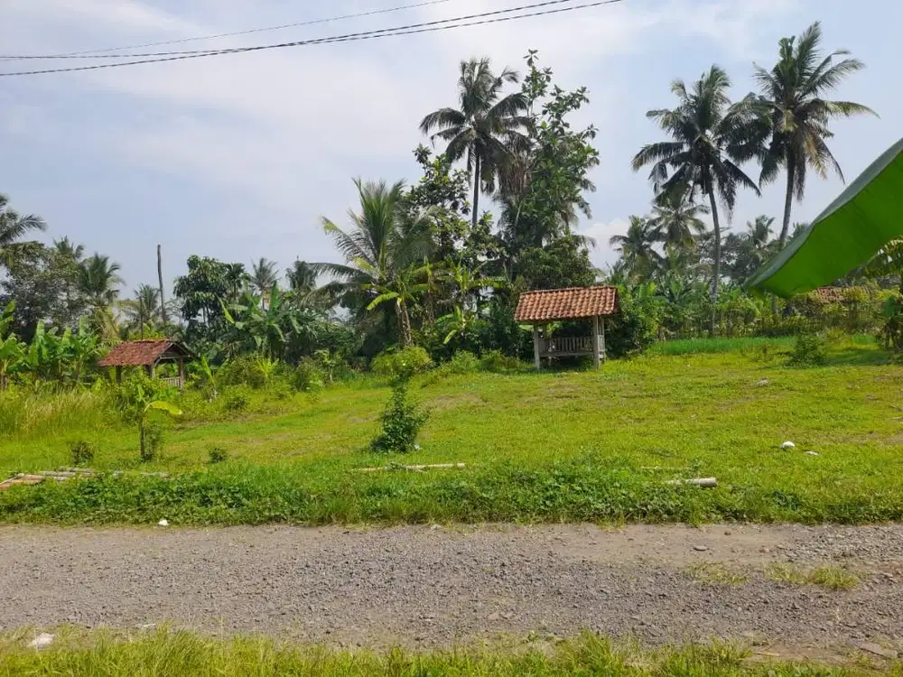 Dijual dan Harus Terjual Tanah Kavling (Nego)
