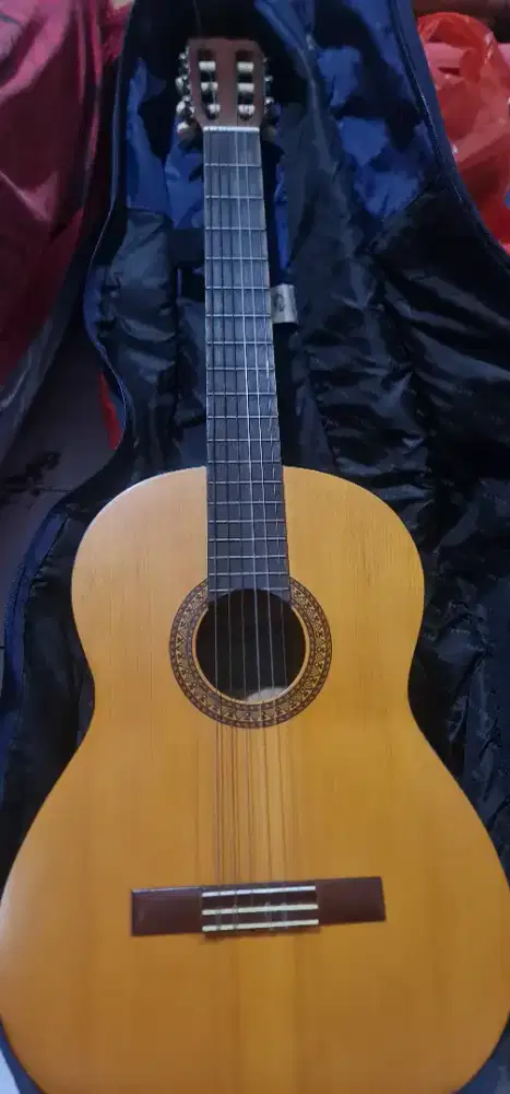 Yamaha Guitar C-315