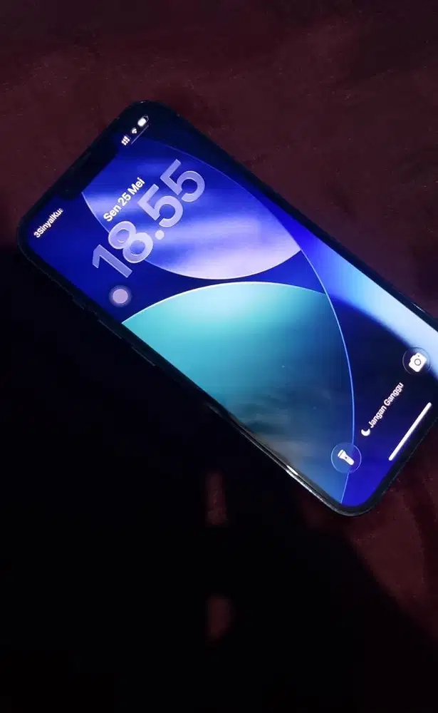 13 pro 256gb inter nominus