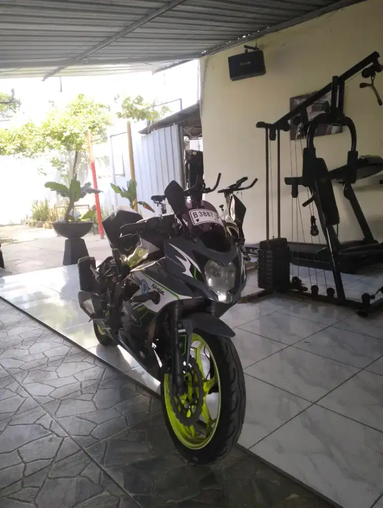 2017 Ninja 250 SL