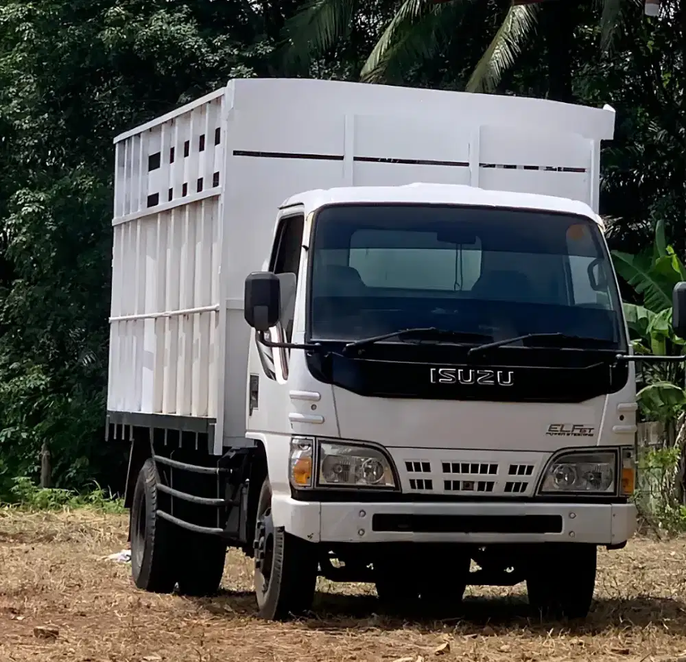 Isuzu Elf NKR 55 6 roda bak besi
