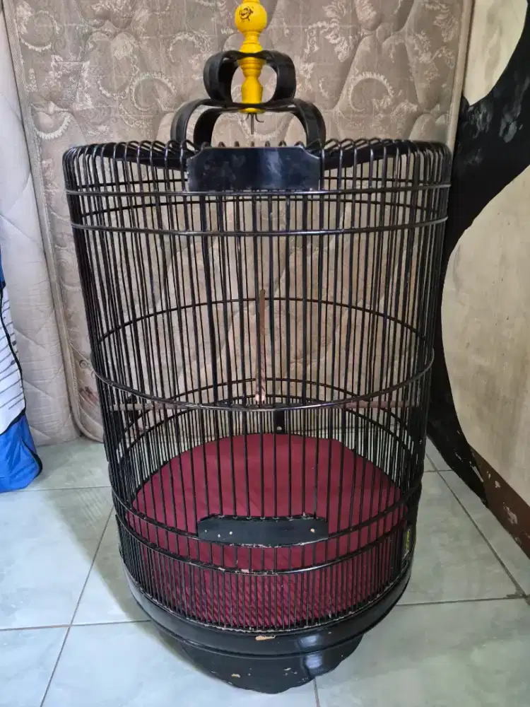 Kandang murai no 3 ebod sangkar murai ebod no3 kandang murai black no3