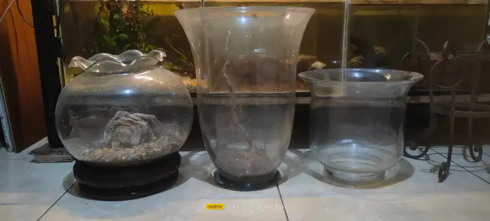 aquarium bulat atw pas bunga kaca