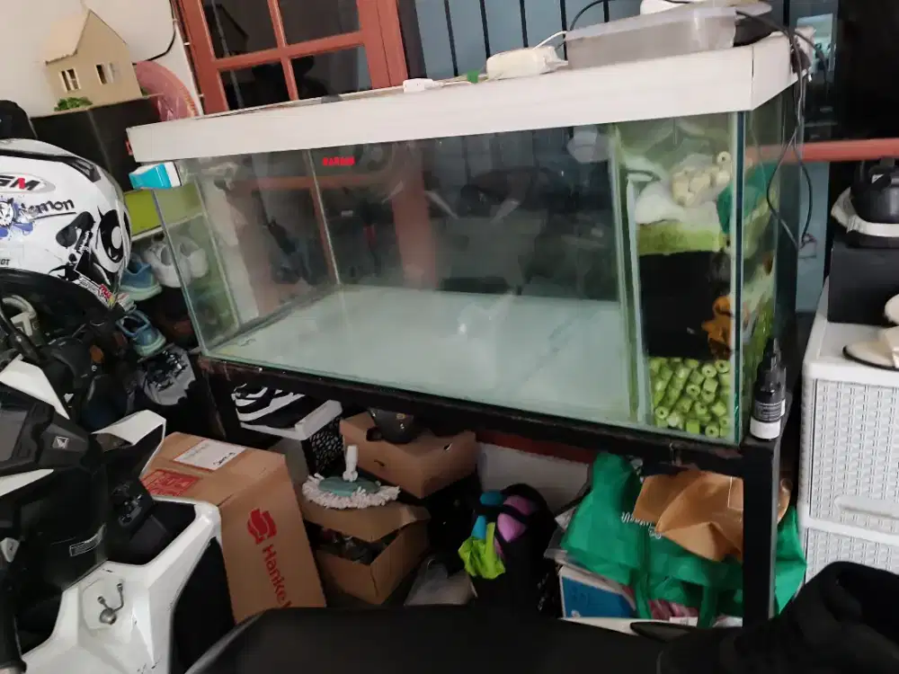Jual Aquarium Ikan