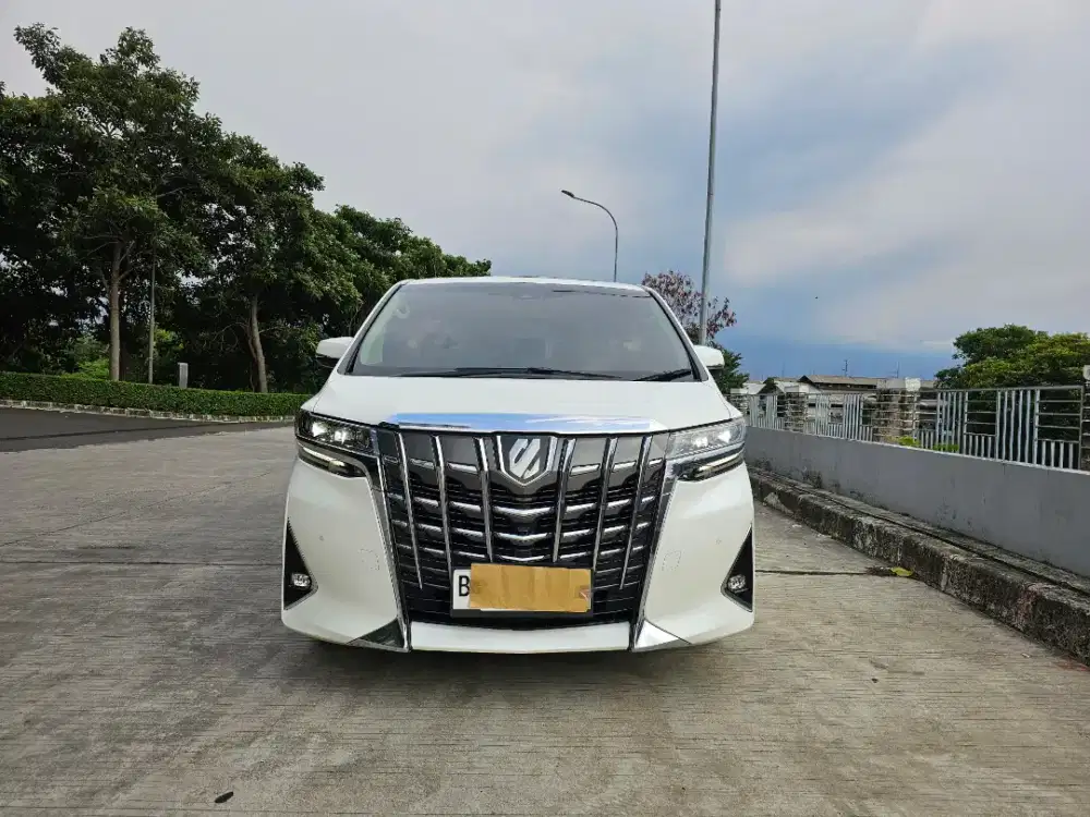 TOYOTA ALPHARD G TSS  VERY SPECIAL LOW KM