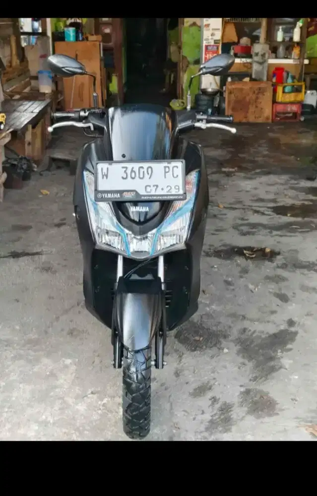 Lexi Tahun 2019