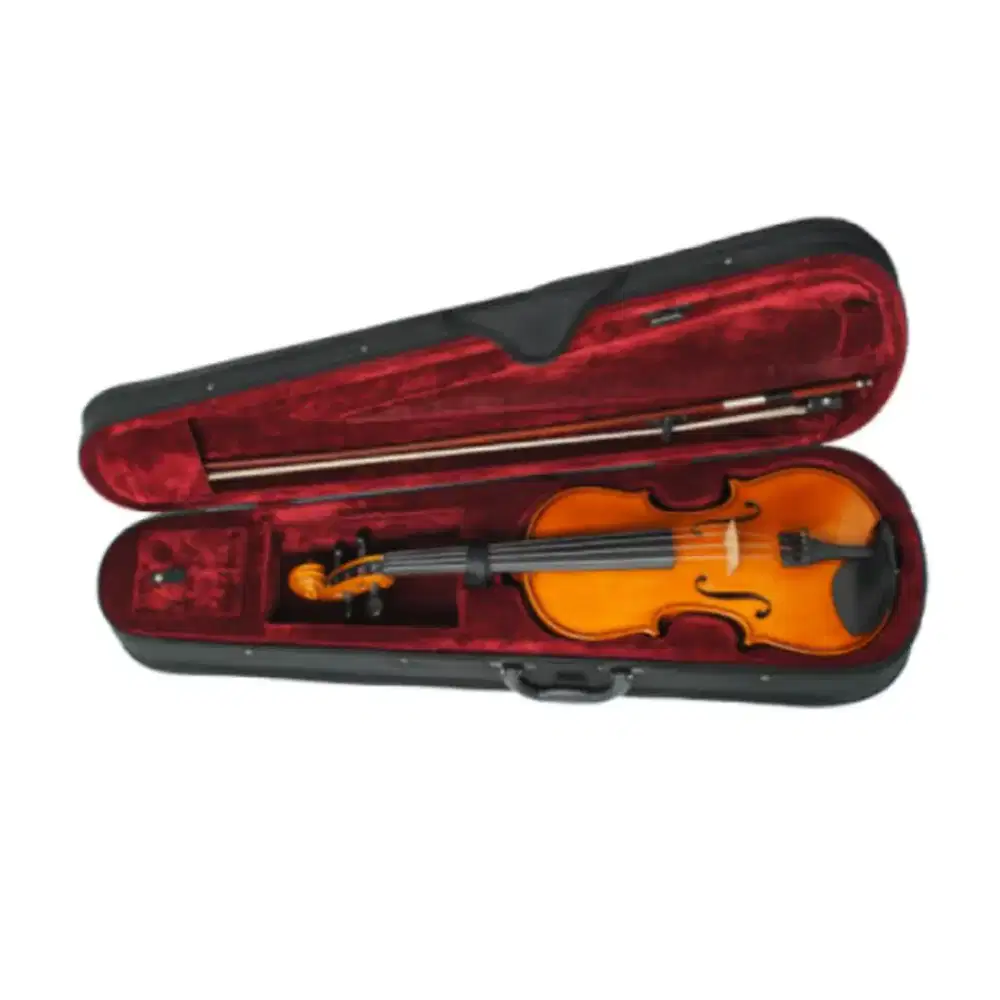 Biola Hofner AS040