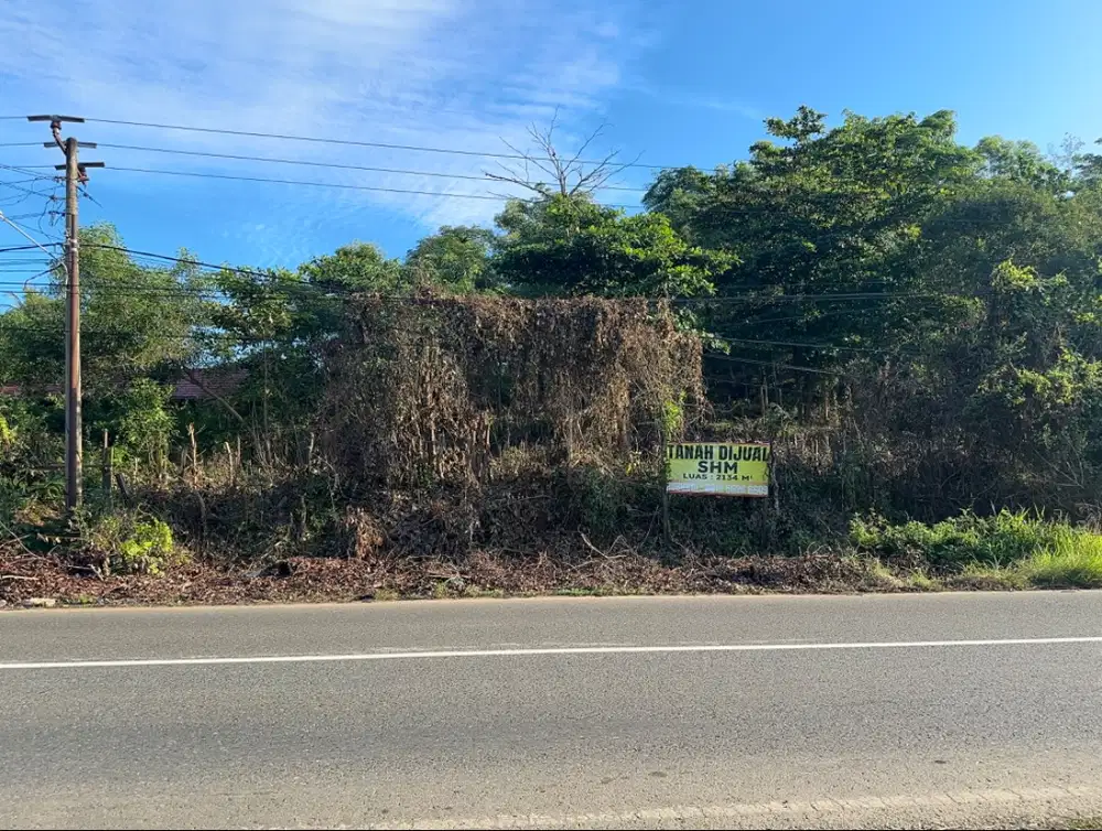 DIJUAL TANAH STRATEGIS 40x50 m DISAMPING JALAN RAYA 260 jt