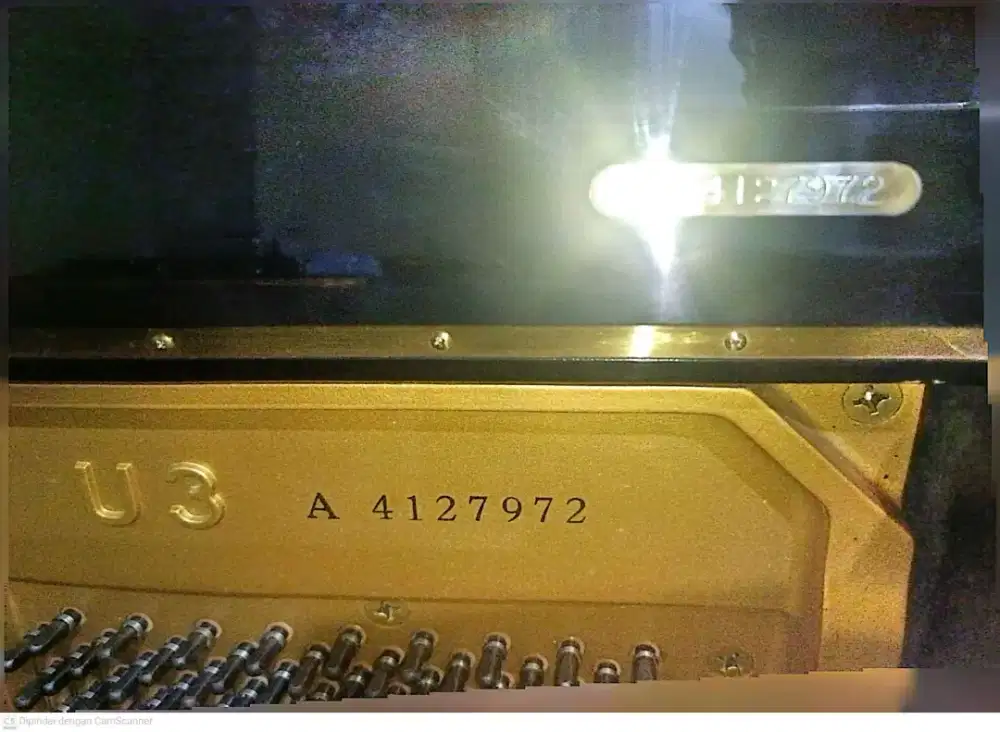 Piano U3A gold medal