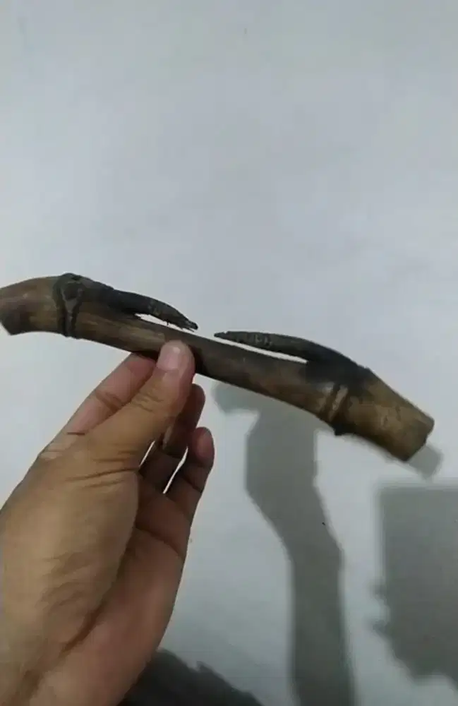 bambu unik antik temuan