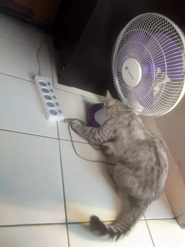 Kipas angin, masih bagus gak ada minus
