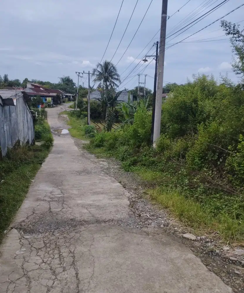 Jarang ada harga ini,tidak dibawah sutet,pas unk invest/rumah pribadi.