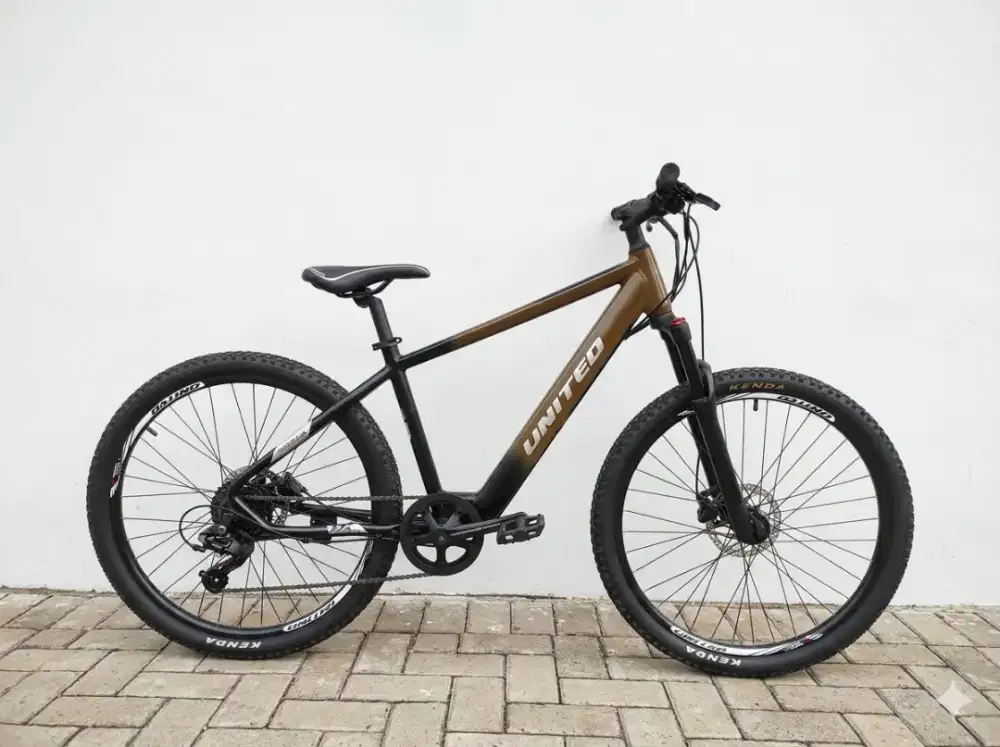 MTB Ebike united manrola