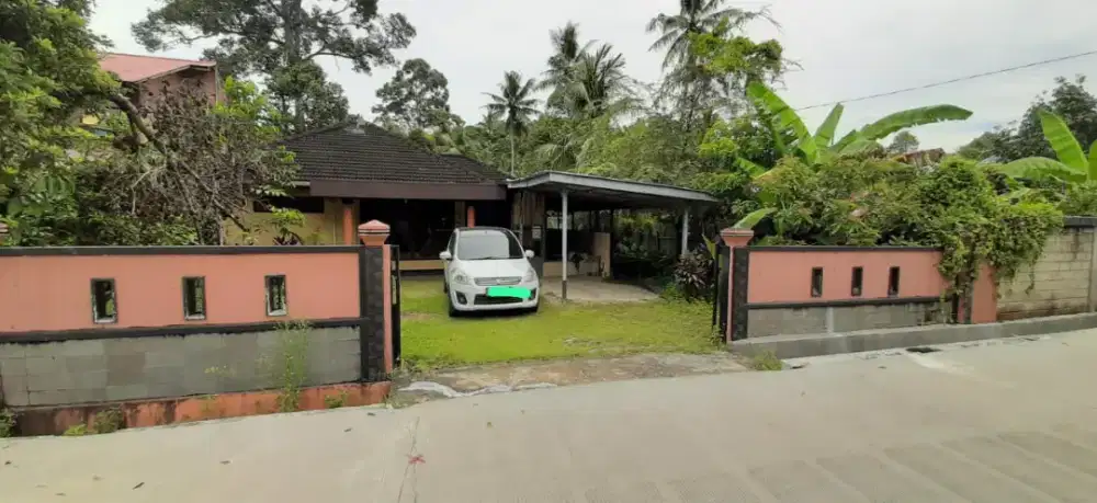 Rumah luas dan asri di belimau cocok untuk usaha kebun atau ikan