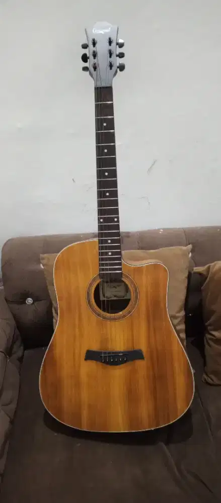 Gitar Akustik Elektrik Camwood