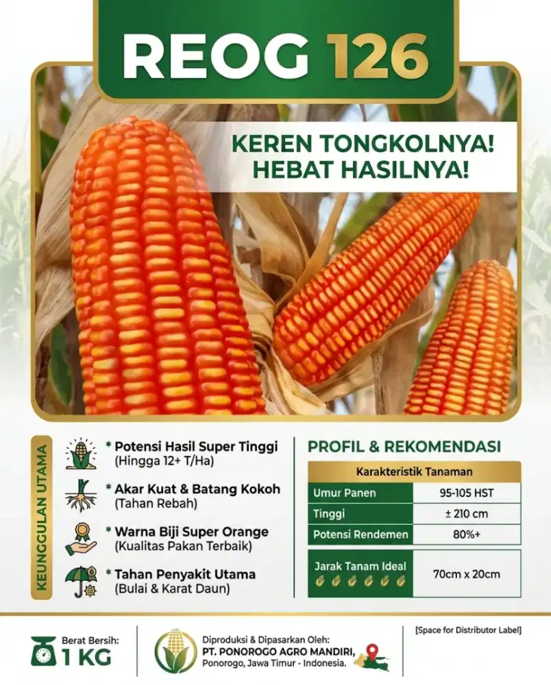 Benih jagung hibrida REOG126 1KG