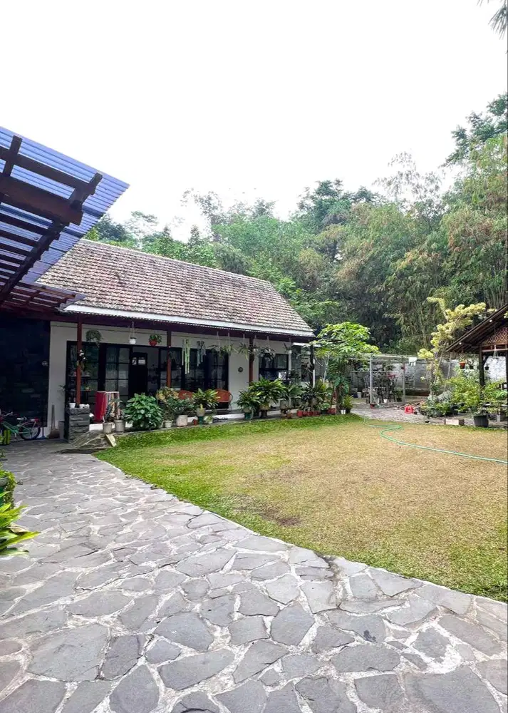 Hidden Gem Rumah Sejuk Halaman Luas di Pakem