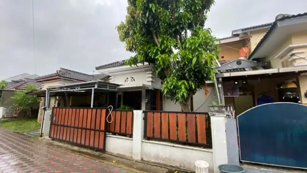 Disewakan tahunan / Dijual