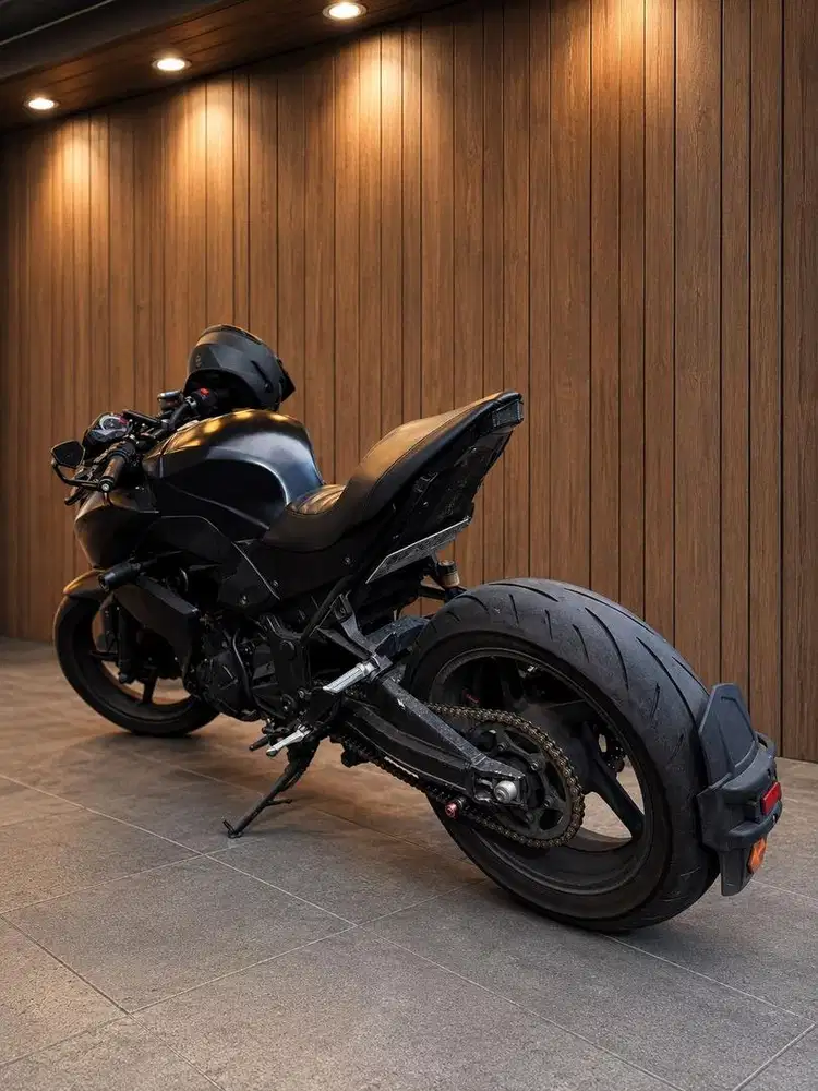 Kawasaki Z250 2013