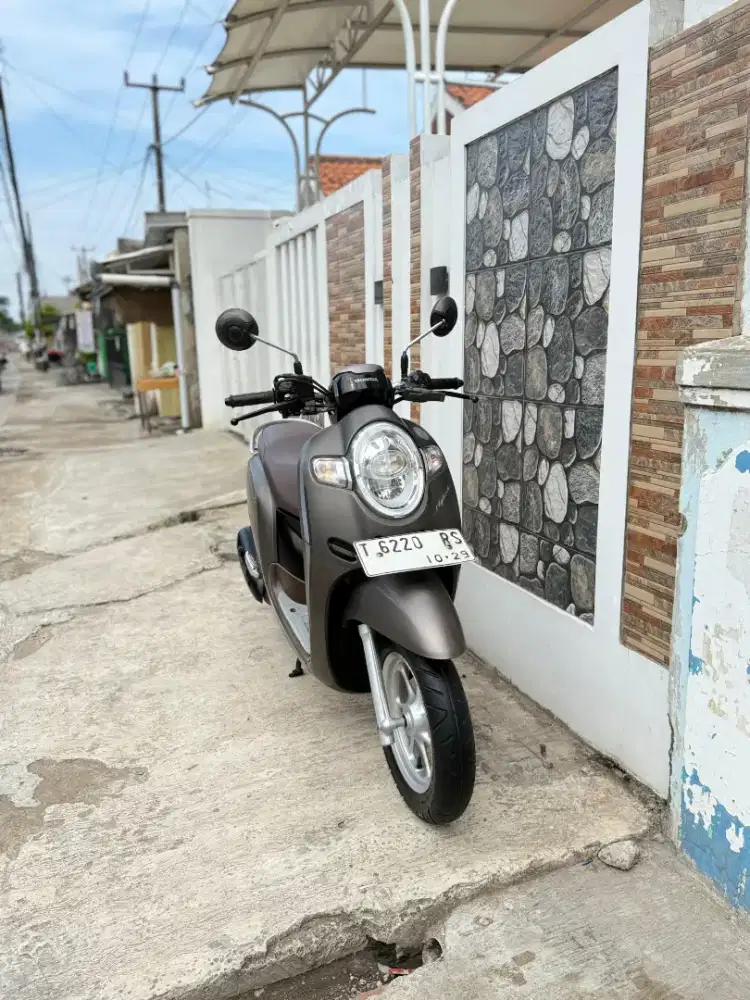 H. NEW Scoopy Stylish