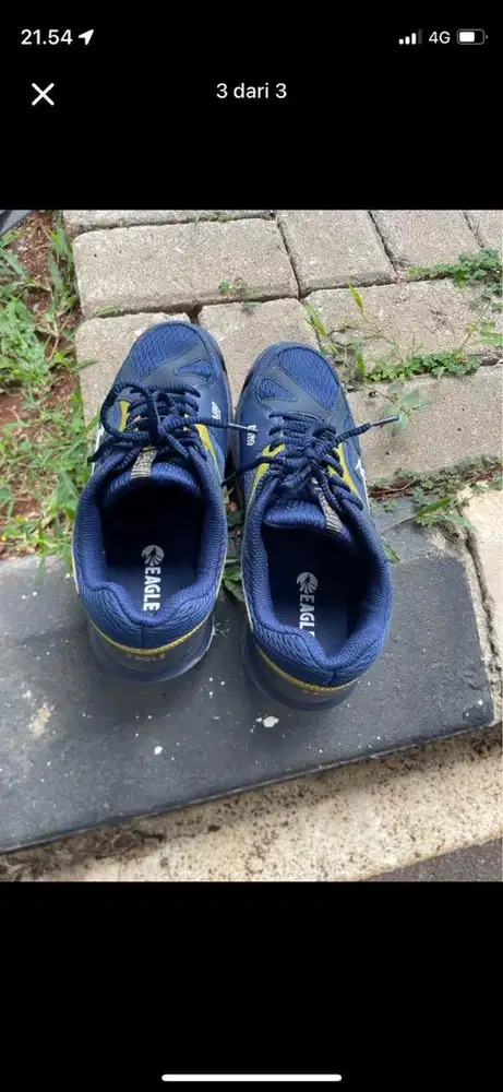 Sepatu eagle viking