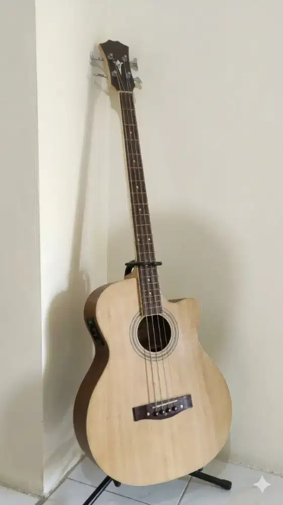 Bas akustik + pre-amp