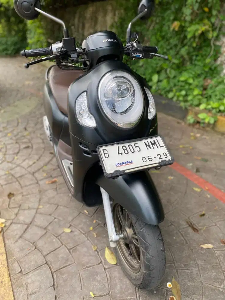 Scoopy 2024 Prestige